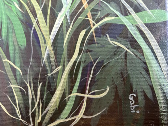 Wild IV