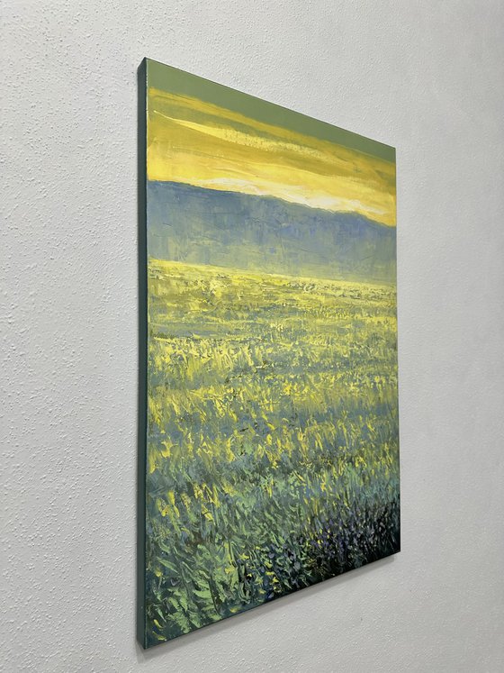 Field at Sunrise A24 40x60cm.