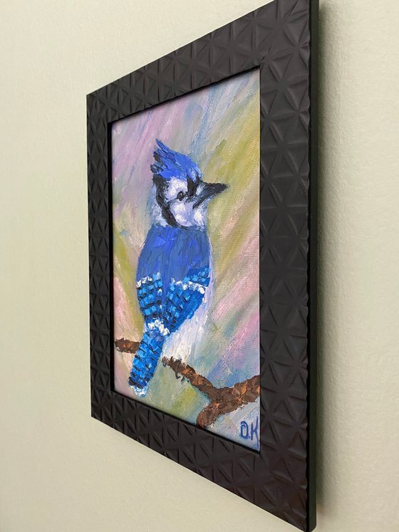 Blue jay