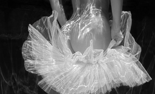 Tutu Skirt - underwater photograph - print on paper 22" x 36" by Alex Sher