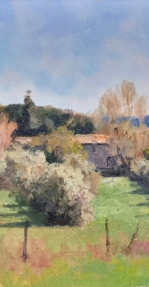 Mas et Oliviers à Lurs by Pascal Giroud