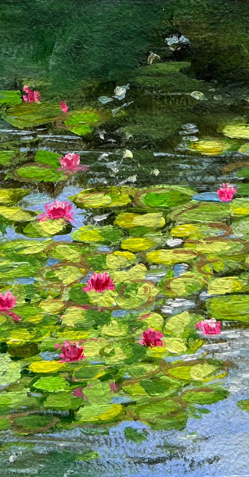 Morning Water lily pond on handmade paper by Amita Dand