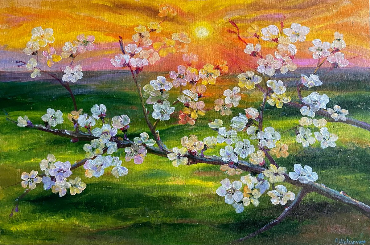 Impressionistic Landscape Oil Painting By Galyna Shevchencko, 24 X 16, Blooming Apricot, Original Artwork