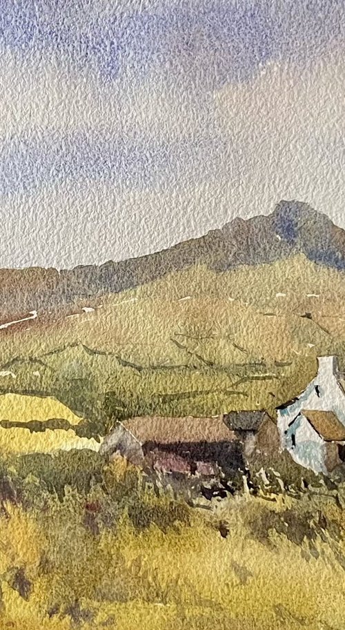 Garn Llidi,St. Davids by Vicki Washbourne