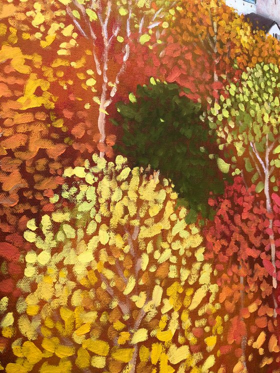 Autumn forest