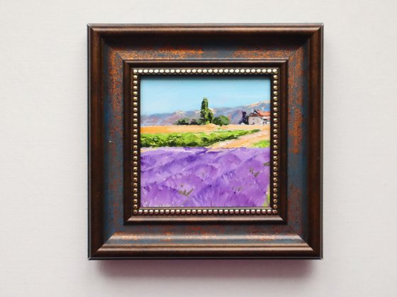 Lavender Fields Scene