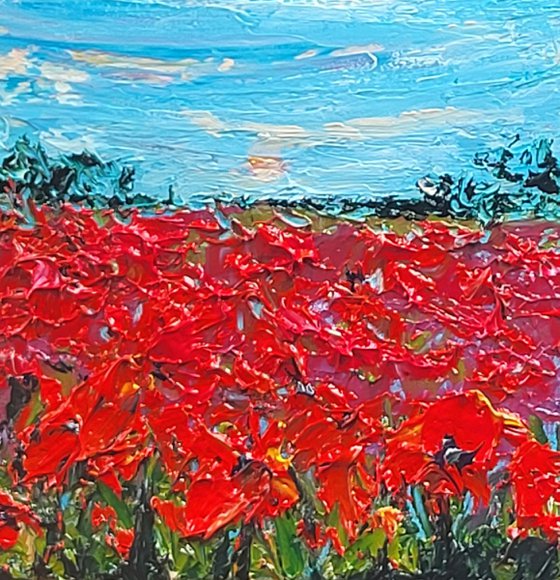 Poppy Dreams