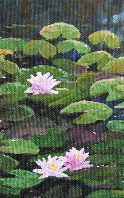 Pink water lilies - original oil. 30x20 by Linar Ganeev