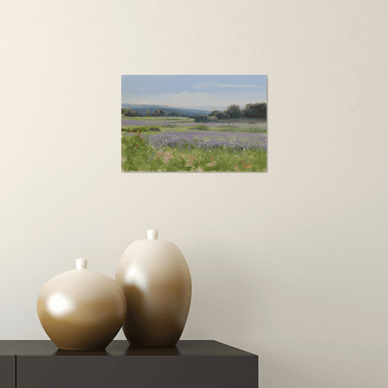 Lavender near Grignan