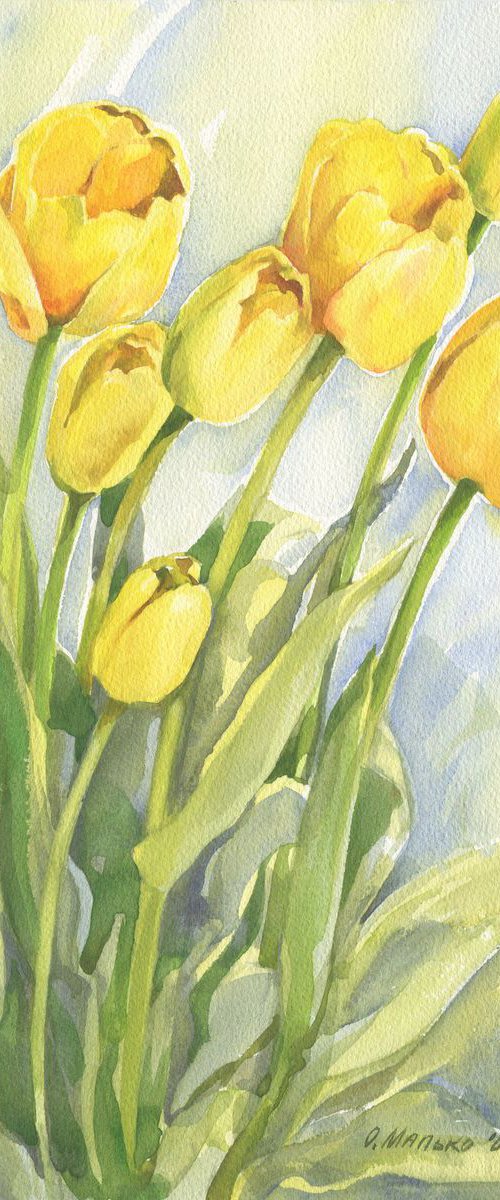 Yellow tulips / ORIGINAL watercolor 11x15in (28x38cm) by Olha Malko