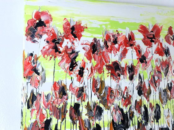 Poppy Flowers 2