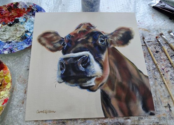 Well hello there!, a Jersey calf (cow) original oil painting Sophia