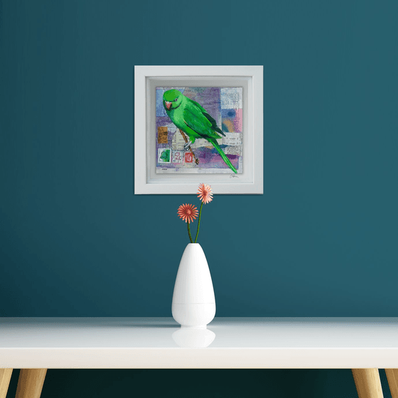 Parakeet - Ornithology#5 - Framed ready to hang original painting