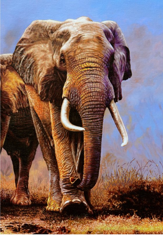 Wild Elephants 2