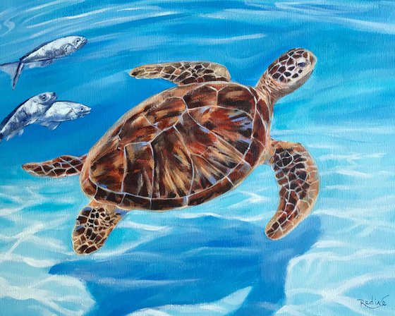 Sea turtle