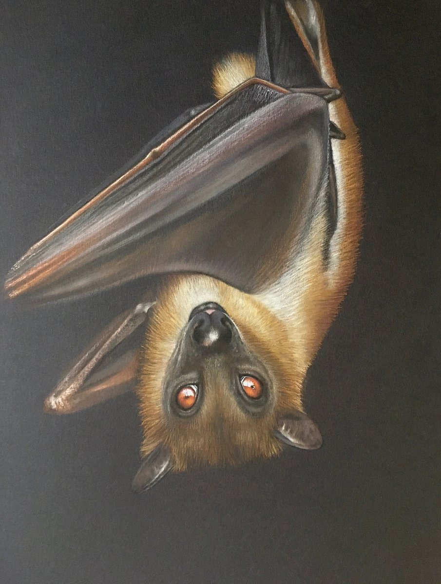 Debra Spence Original Art Works