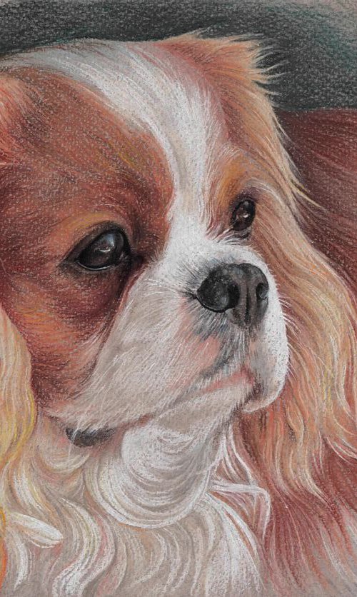 Cavalier king charles spaniel portrait by Olga Tsvetkova