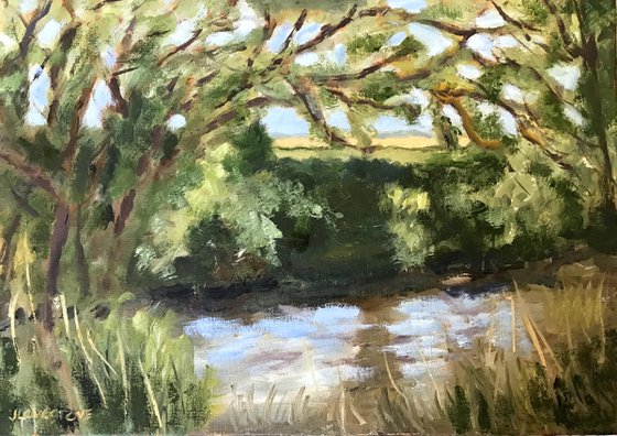 The river Stour in east Kent - an original painting