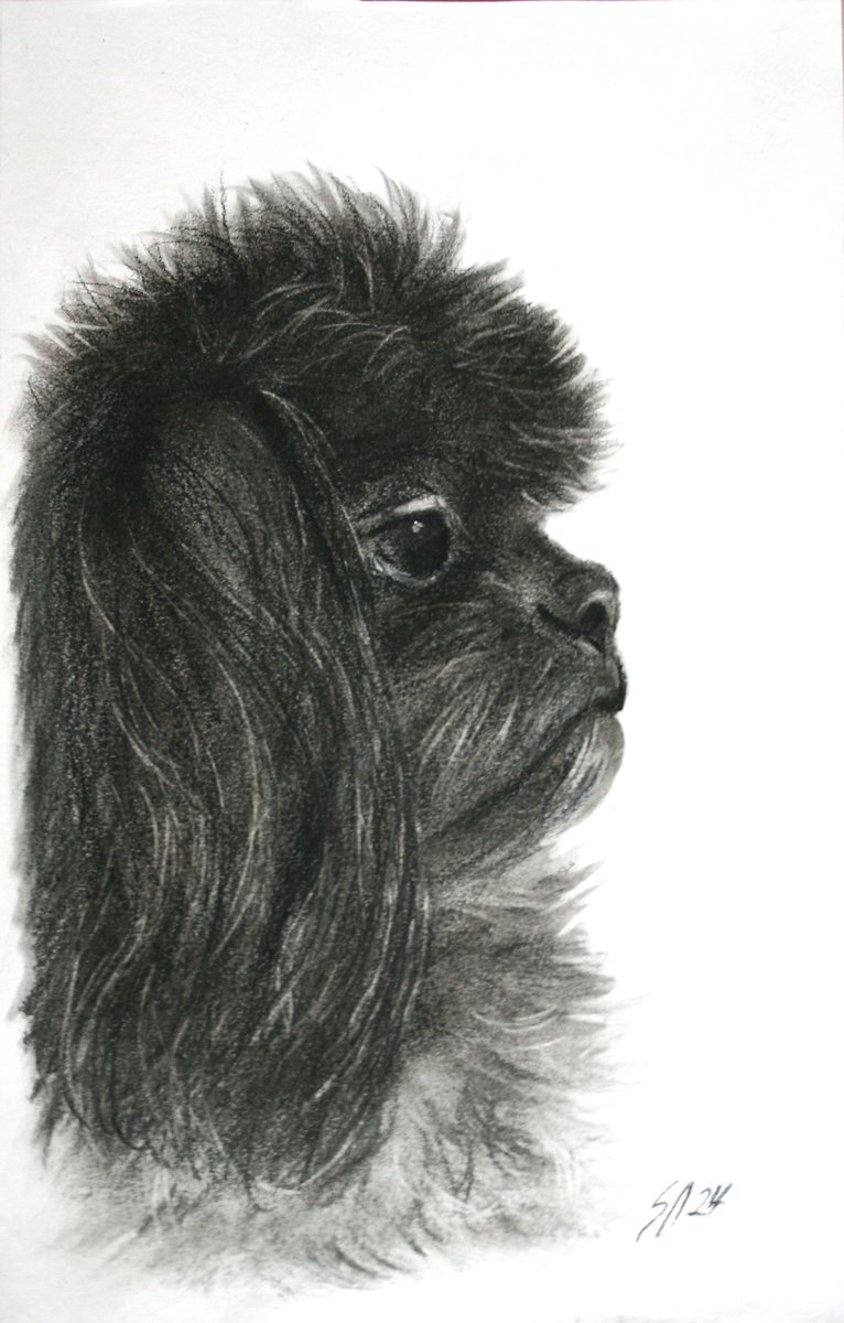 Impressionistic Animal Charcoal Drawing By Salana Art / Svetlana Samovarova, 8 X 11", Dog 3.11, Original Artwork
