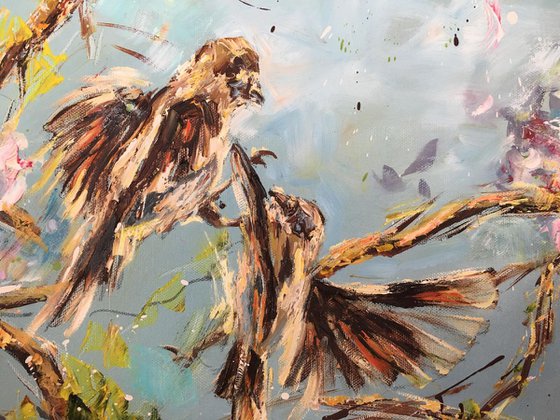 Sparrows