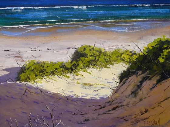 Australian Sandy  Beach dunes