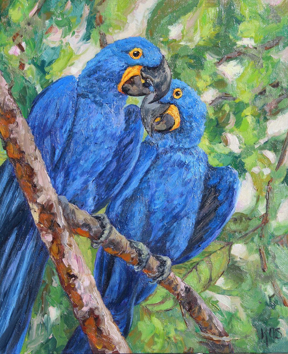 Hyacinth Macaws by Kristen Olson Stone