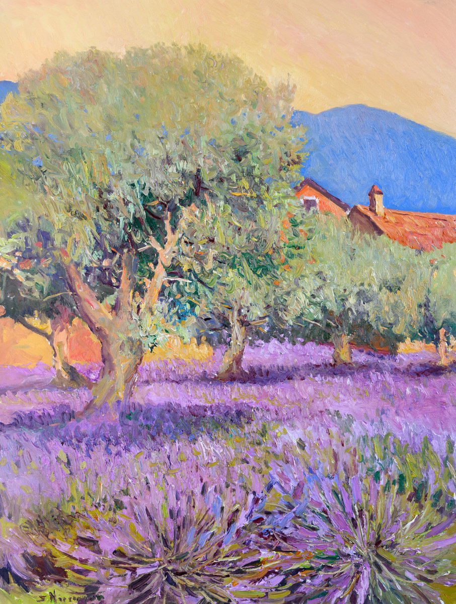 Expressive Landscape Oil Painting By Suren Nersisyan, 30 X 40", Lavender And Olive Trees, Original Artwork