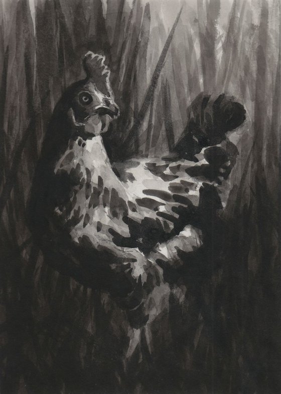 Chicken in the long grass