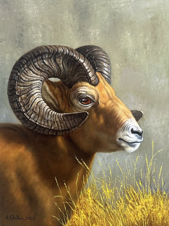 Ram portrait