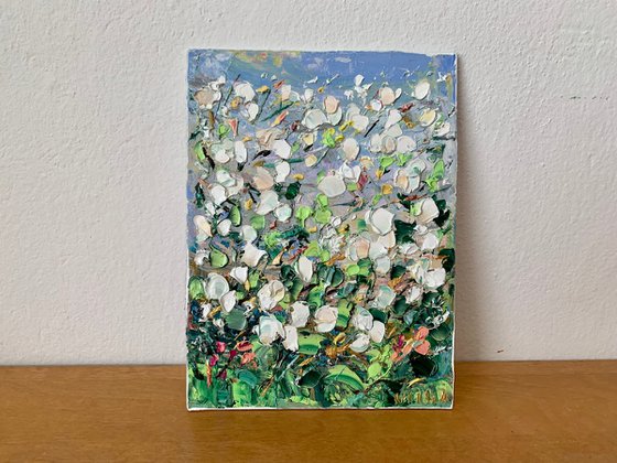 White Flowers