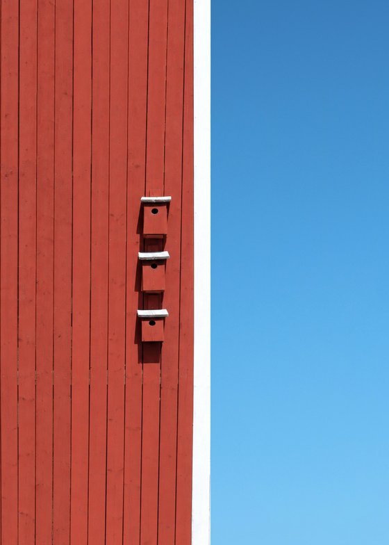 Red bird district