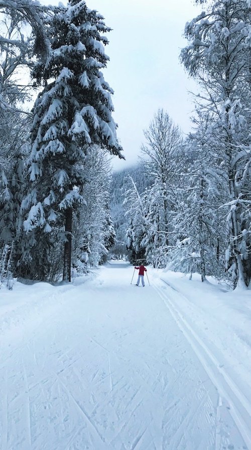 Into The Snow. Limited Edition by Samira Malik
