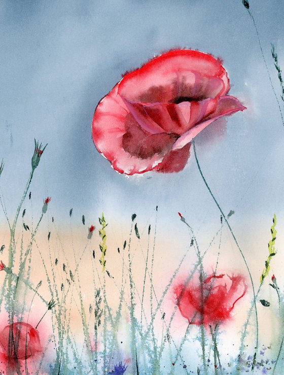 Poppies  -  Original Watercolor Painting by Olga Shefranov