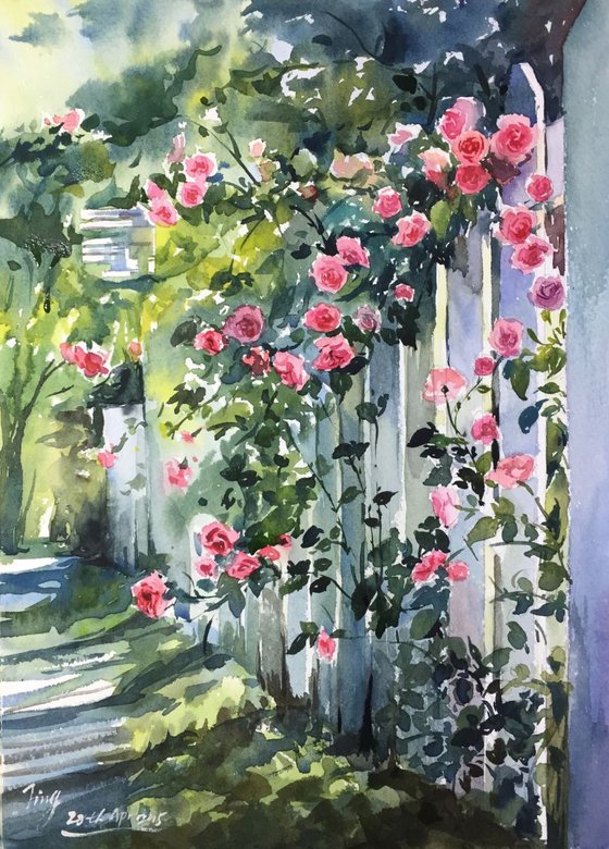 Rose Garden