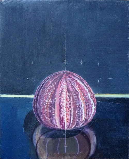 Sea Urchin by Kenneth Hay