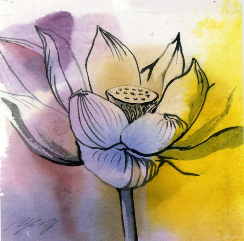 lotus in yellow by Alfred  Ng