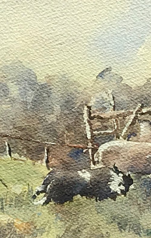 One man and his dog by Vicki Washbourne