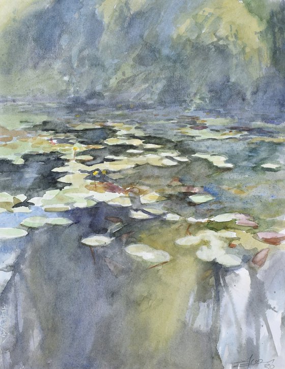 Water lilies 6