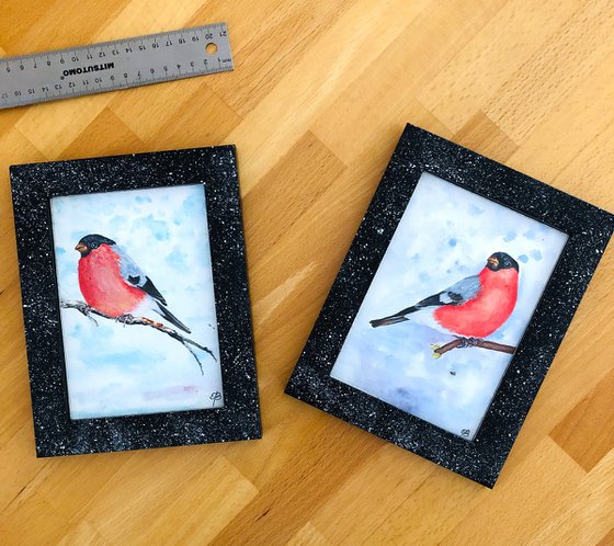 Happy winter - Bullfinch