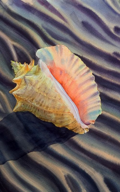 Seashell on the Beach - Sea Sh by Olga Beliaeva Watercolour