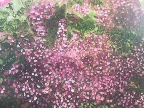 Where the wild roses grow