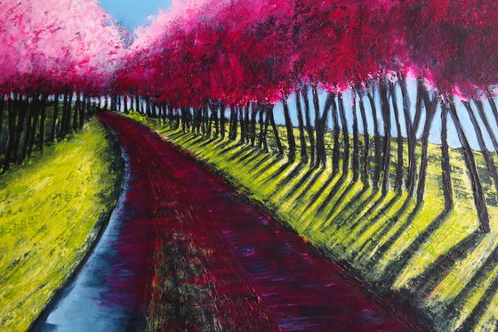 Cherry Road  -  Fields and Colors Series