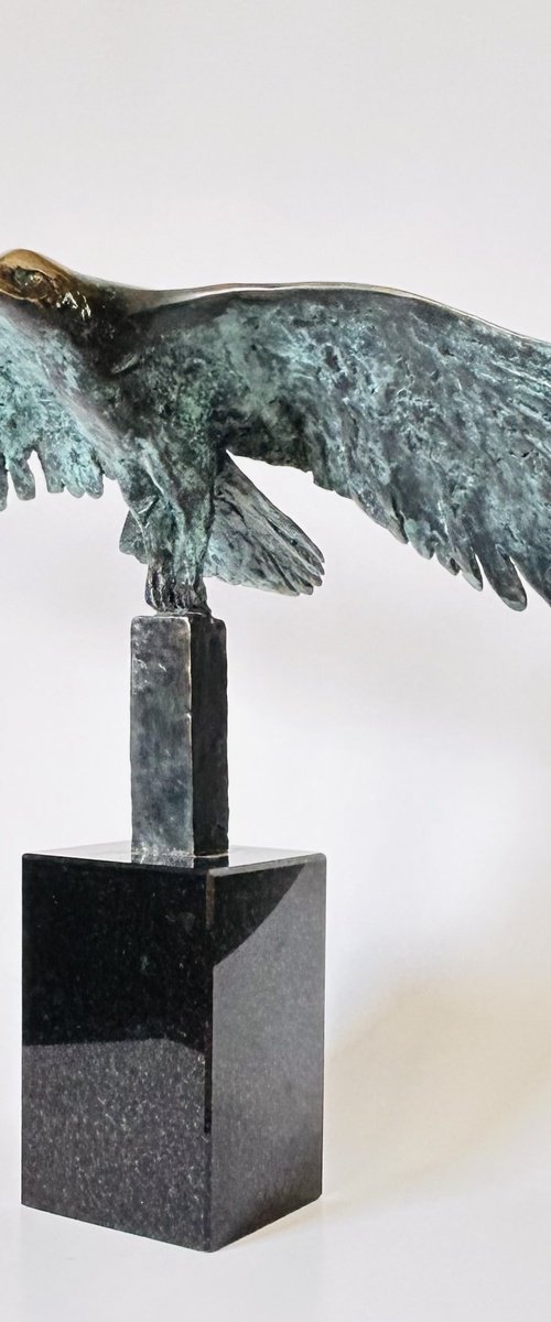 The Embrace of the Wind by Joanna Cholewa