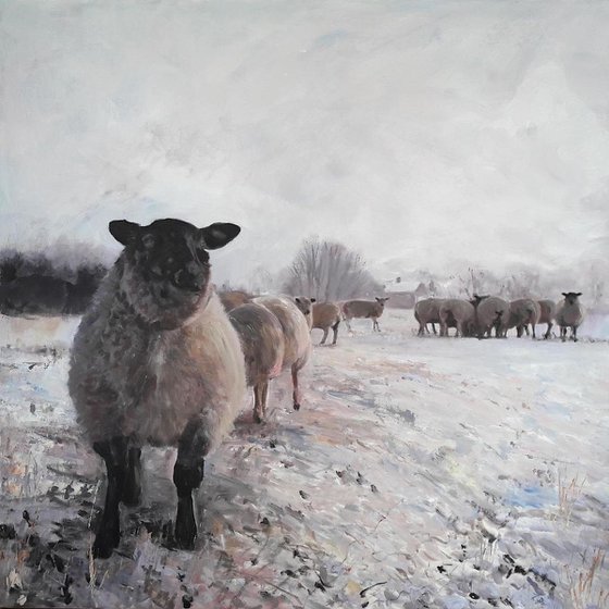 Winter Sheep