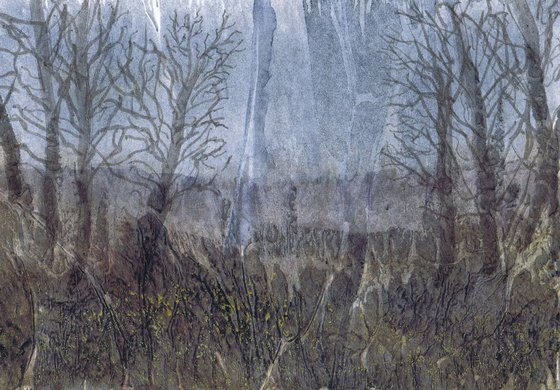 Through the mist.