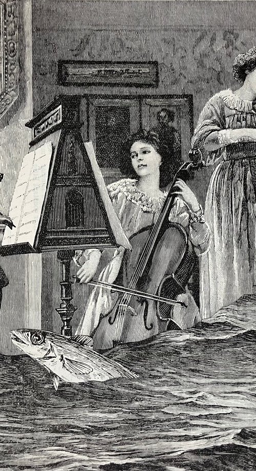 Cello, violins and fish by Tudor Evans