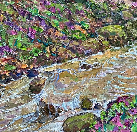 Springs of a mountain stream