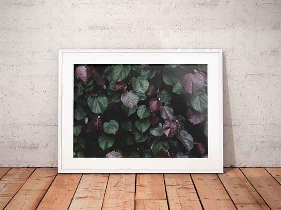 Winter leaves I | Limited Edition Fine Art Print 1 of 10 | 60 x 40 cm