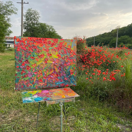 Poppies