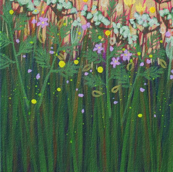 Garden with Queen Anne's Lace